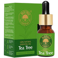 Old Tree Pure & Natural Tea Tree Essential Oil - 15 ml