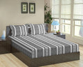 Trance Home Linen 200TC 100% Cotton 78"x72" Standard King Size Elastic Fitted Bedsheet King Bed Size with 2 Pillow Covers Colour Aztec Black