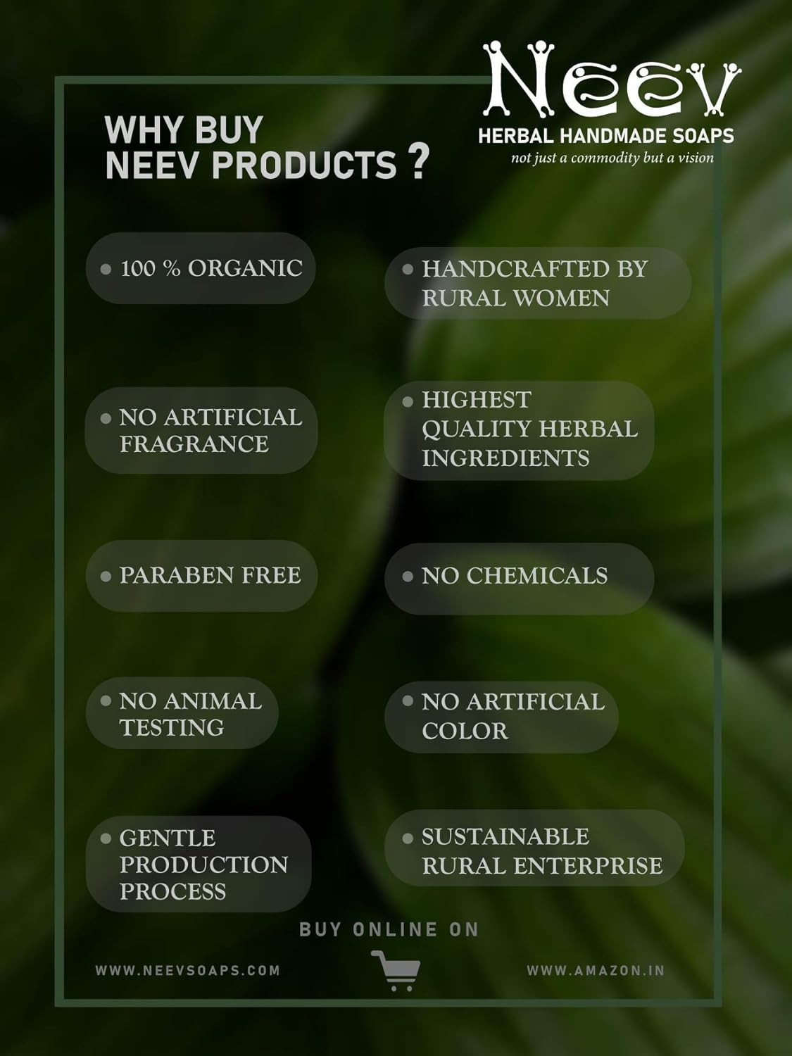 Neev Herbal Handmade Soaps Moringa Vetiver Soap - 100 gms (Pack of 3)
