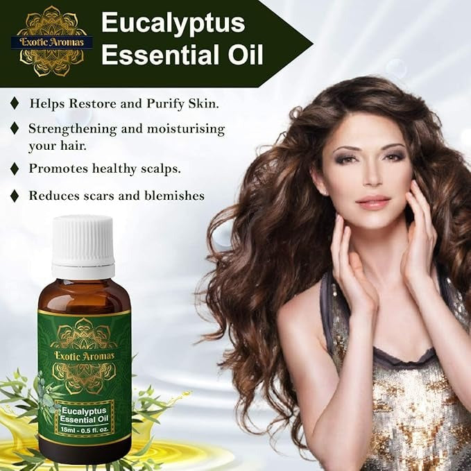 Exotic Aromas Eucalyptus Essential Oil - 15 ml (Pack of 2)