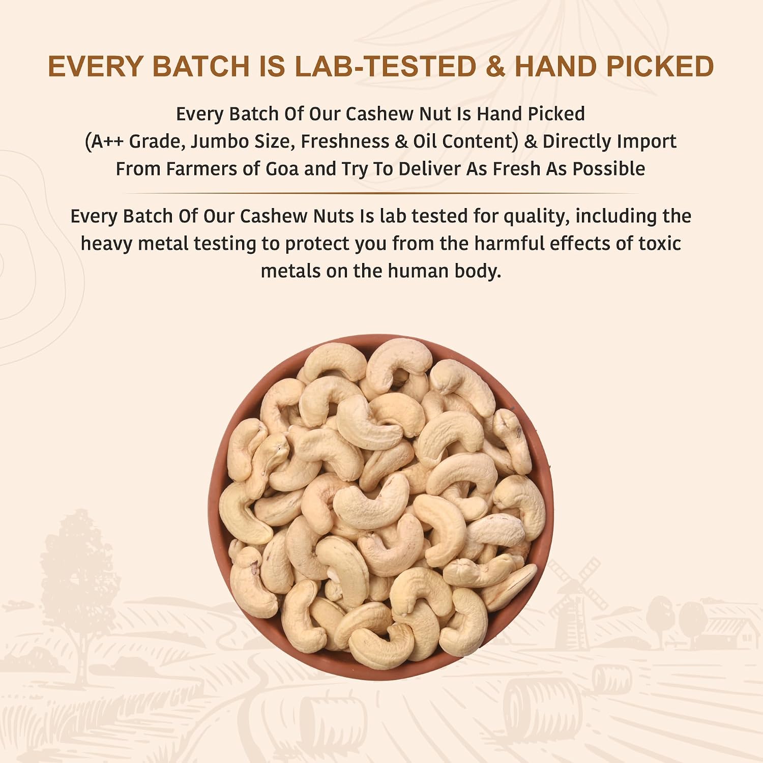 Nutty Organics Whole Cashew Nuts 250 Gm | Hand Selected Jumbo | Nutritious & Delicious Nuts | Natural & Crunchy | Healthy Dry Fruit Snack