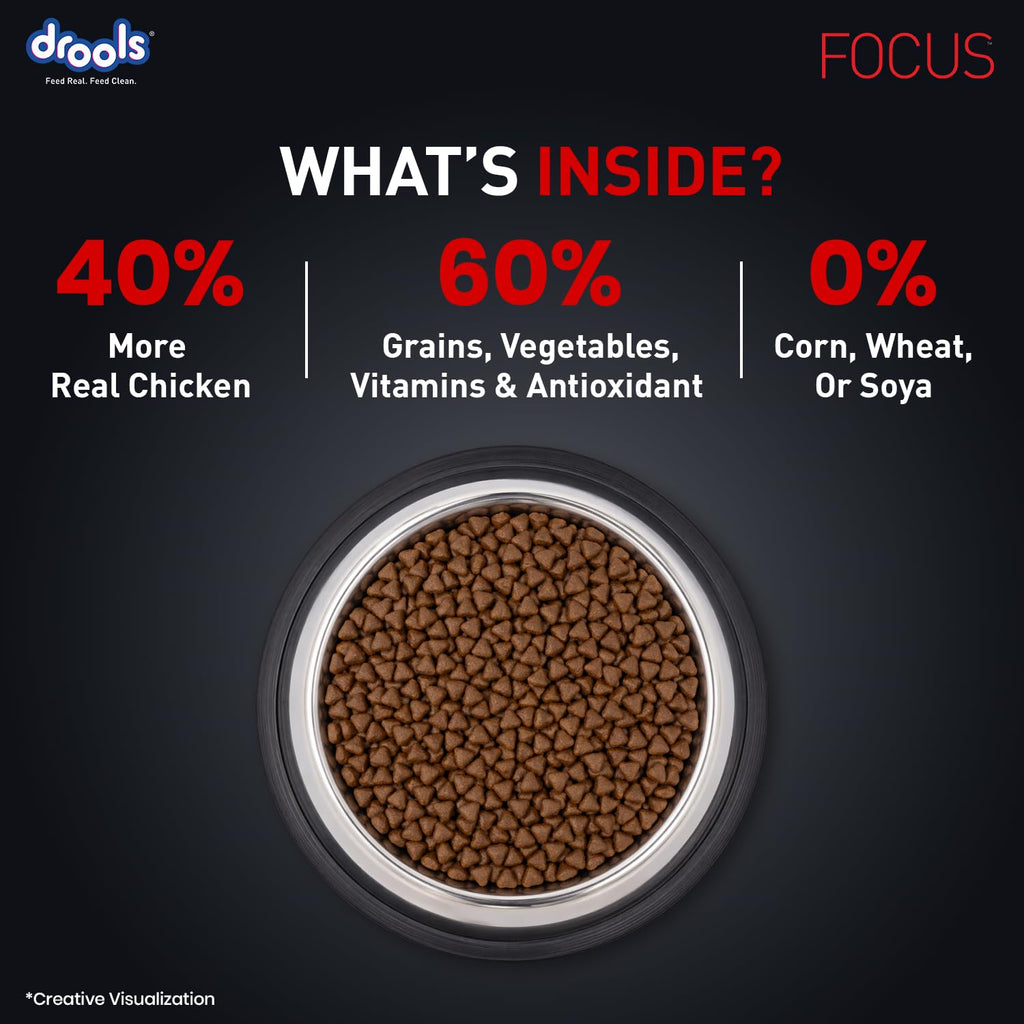 Drools Focus Starter Super Premium Dry Dog Food 1.2kg Pack | Chicken Flavour | Brain Development | Antioxidants like Vitamin E & C | Energy and Essential Nutrients
