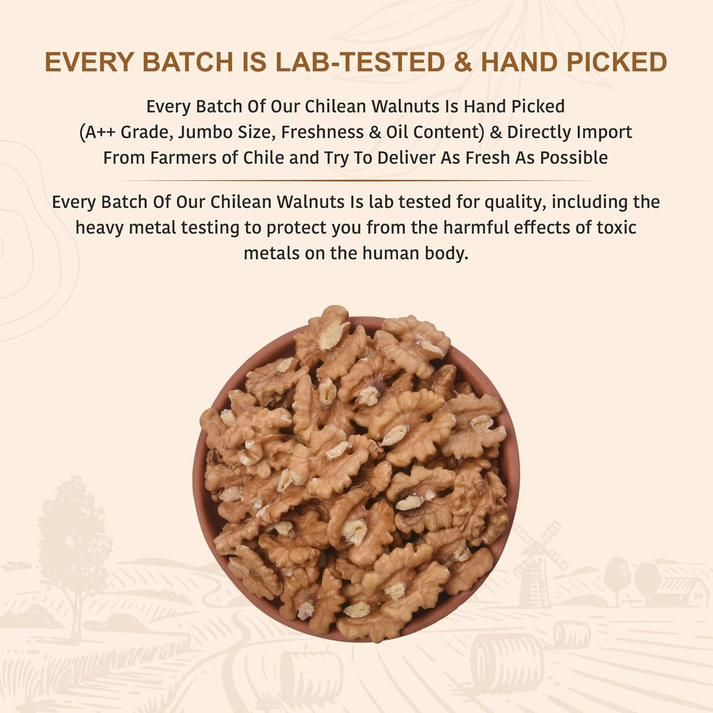Nutty Organics Dried Walnut 250 Gm | Crunchy | Nutritious Tasty & Healthy Nuts Dry Fruits | Akhrot Giri | Rich in Protein
