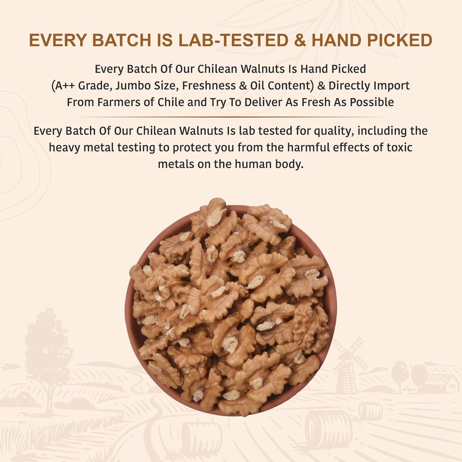 Nutty Organics Dried Walnut 250 Gm | Crunchy | Nutritious Tasty & Healthy Nuts Dry Fruits | Akhrot Giri | Rich in Protein