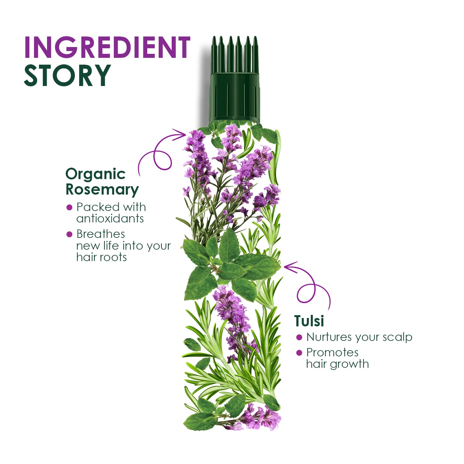 Kesh King Organic Rosemary Oil with Tulsi, ayurvedic hair oil for hair fall and regrowth with hair oil applicator, for men and women, 200ml
