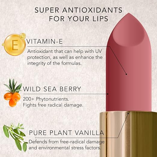 Daughter Earth Gypsy Rose 100% Vegan Natural Lipstick, Highly Pigmented Lightweight Lip Color - 4 Gms