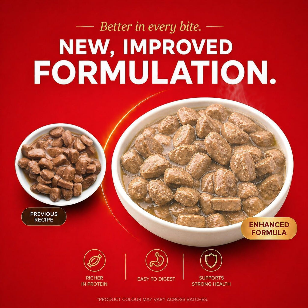 Drools Adult Wet Dog Food 0.9kg (150g x 6) Pack of 6 | Real Chicken and Chicken Liver Chunks in Gravy | Healthy Skin and Coat | Maintains Joint Health | Better Digestibility and Health