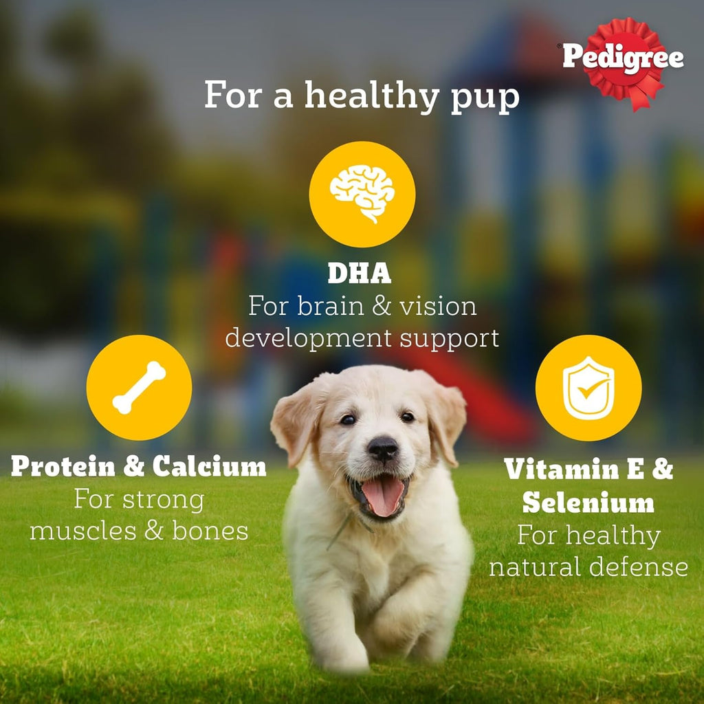 Pedigree Puppy Wet Dog Food, Chicken Chunks in Gravy, 70 g (Pack of 15), Complete & Balanced Meal for Puppies