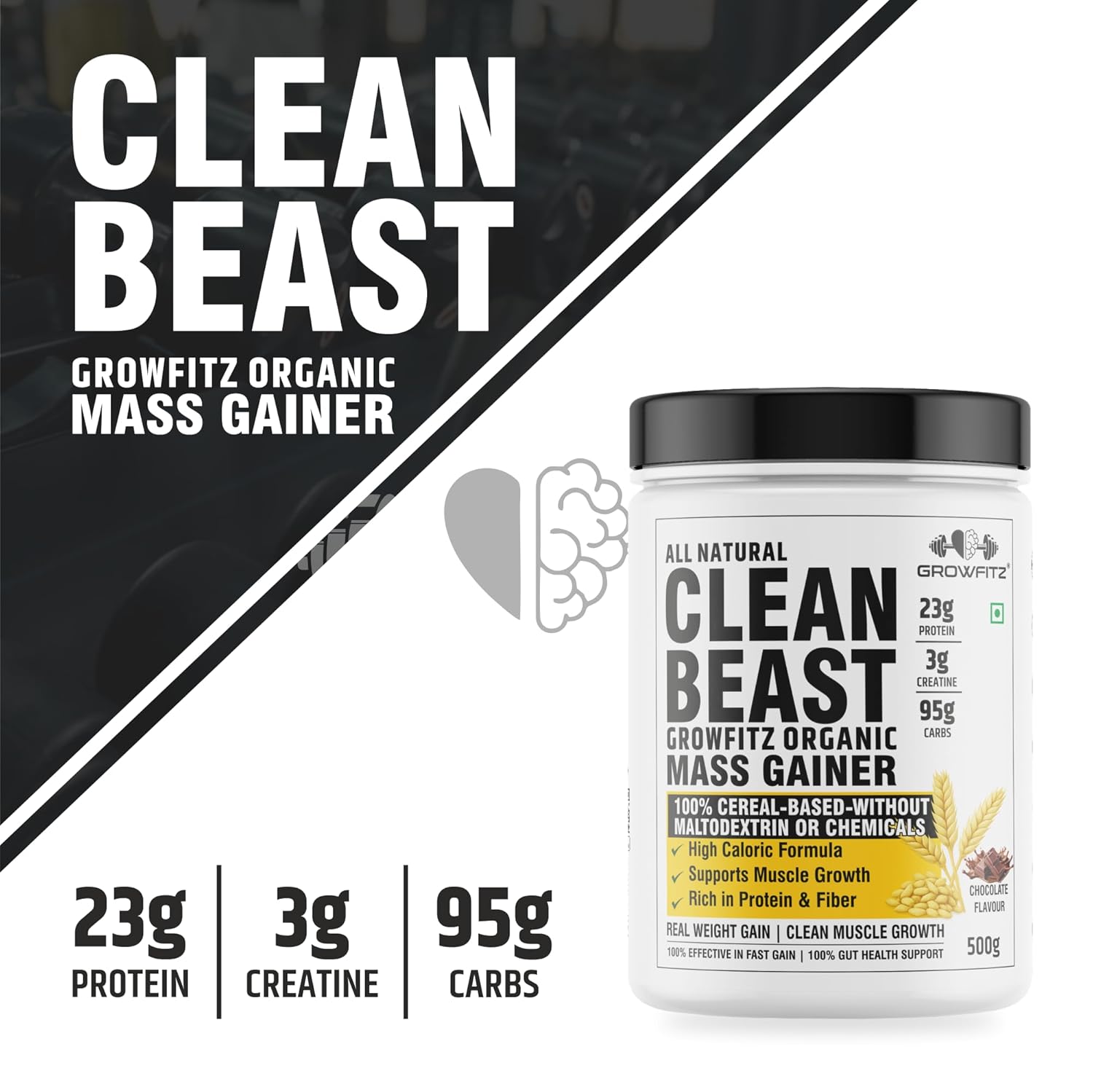 Growfitz All Natural Clean Beast Mass & Weight Gainer 500gram | 23g High Protein | Cereals Based | Support Muscle Growth | 95g Carbs & 3g Creatine | 666 Calories With Vitamins & Minerals | Chocolate Flavour