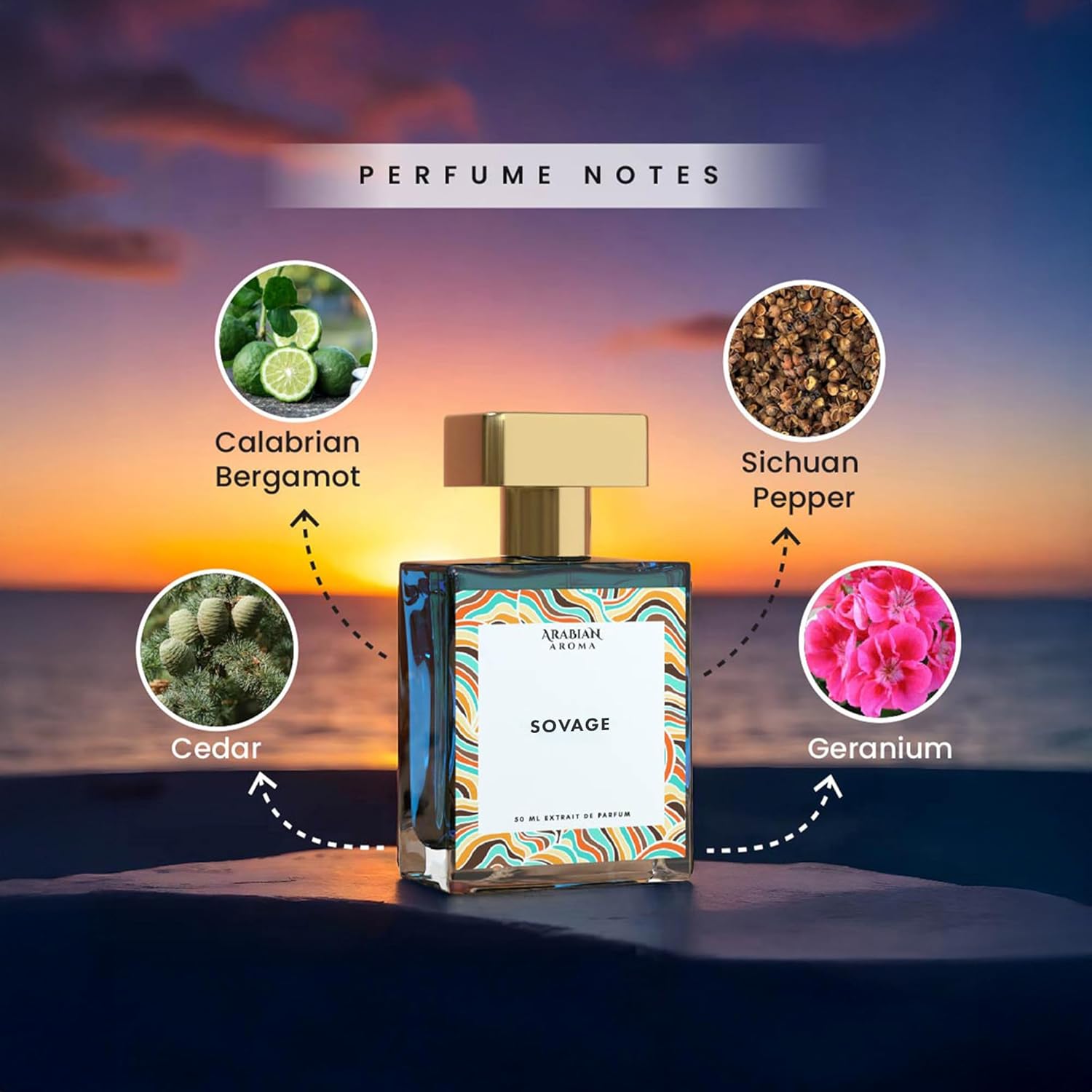 Arabian Aroma Sovage Perfume for Men Fresh Citrus Woody Fragrance | Long Lasting Extrait de Parfum 50ml
