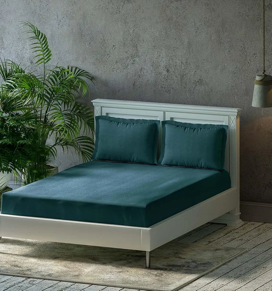 Trance Home Linen Premium 300 TC Pure 100% Cotton King Fitted Bedsheet With 2 Pillow Solid Covers Elasticated 78 X 72 Inches / 198 X 182 Cms / 6.5 X 6 Feet Colour Teal