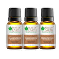 Bliss of Earth Premium Frankincense Boswellia Frerana Essential Oil- 10 ml Each (Pack of 3)