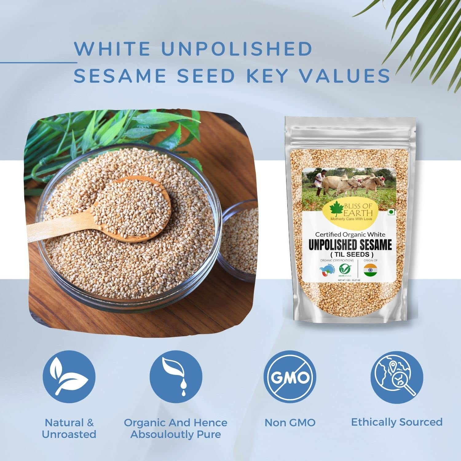 Bliss of Earth Organic Unpolished White Sesame Seeds 600 gm For Eating, Raw Til Seeds