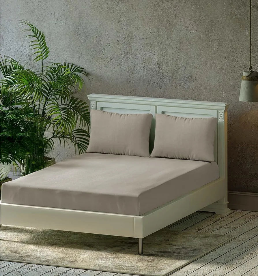 Trance Home Linen Premium 300 TC Pure 100% Cotton King Fitted Bedsheet with 2 Pillow Solid Covers Colour Mocha