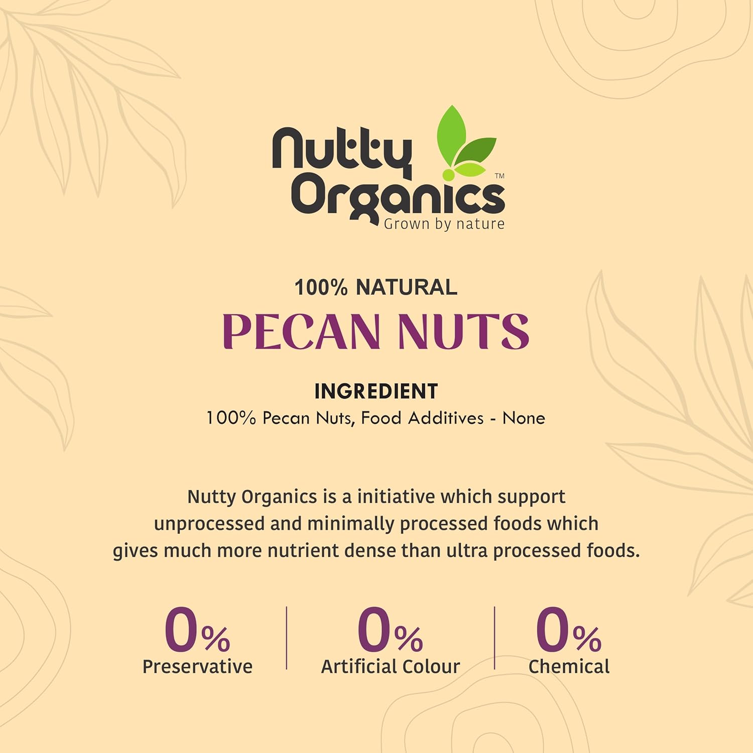 Nutty Organics Pecan Nuts Kernel 200g | Premium Shelled Pecan Nuts | Rich in Antioxidants & Healthy Fats | Natural Dry Fruits