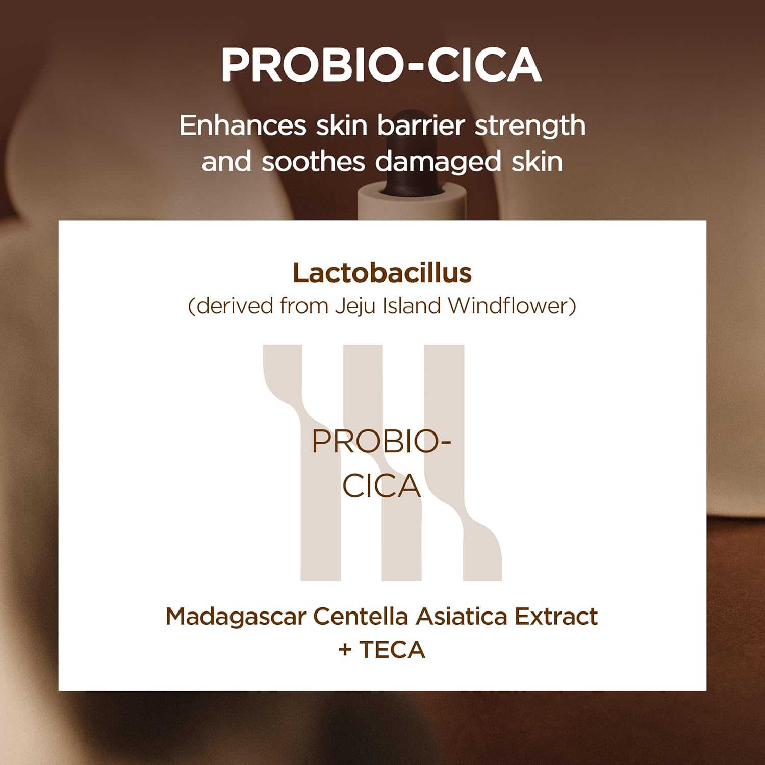 SKIN1004 Centella Probio-Cica Intensive Ampoule | Soothing & Barrier Repair for Dry to Combination Skin with Fermented Centella & Ceramides, 50ml
