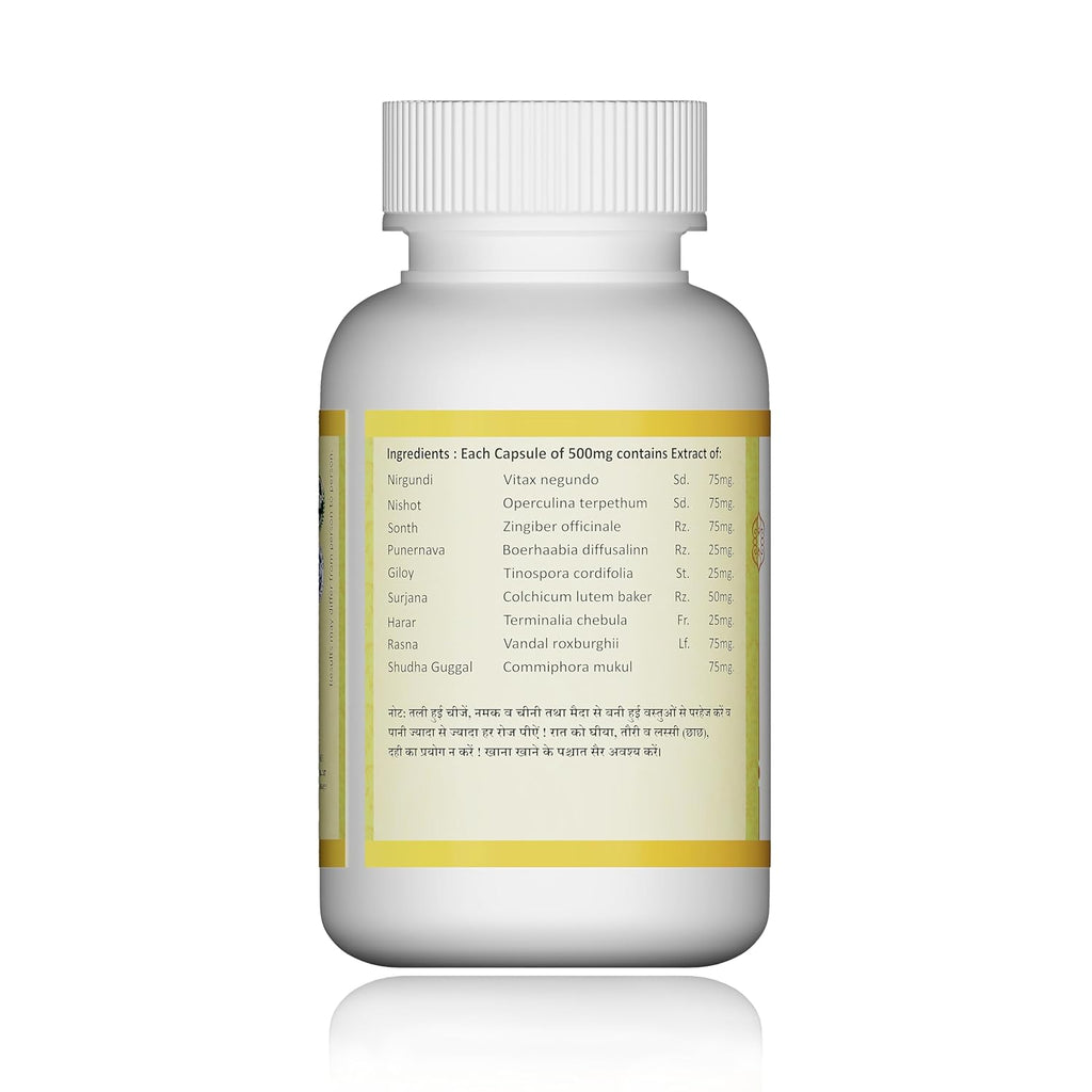 Jeena Sikho Arthri/ Joint Care Capsules | Herbal Joint Health Supplement - 60 Caps