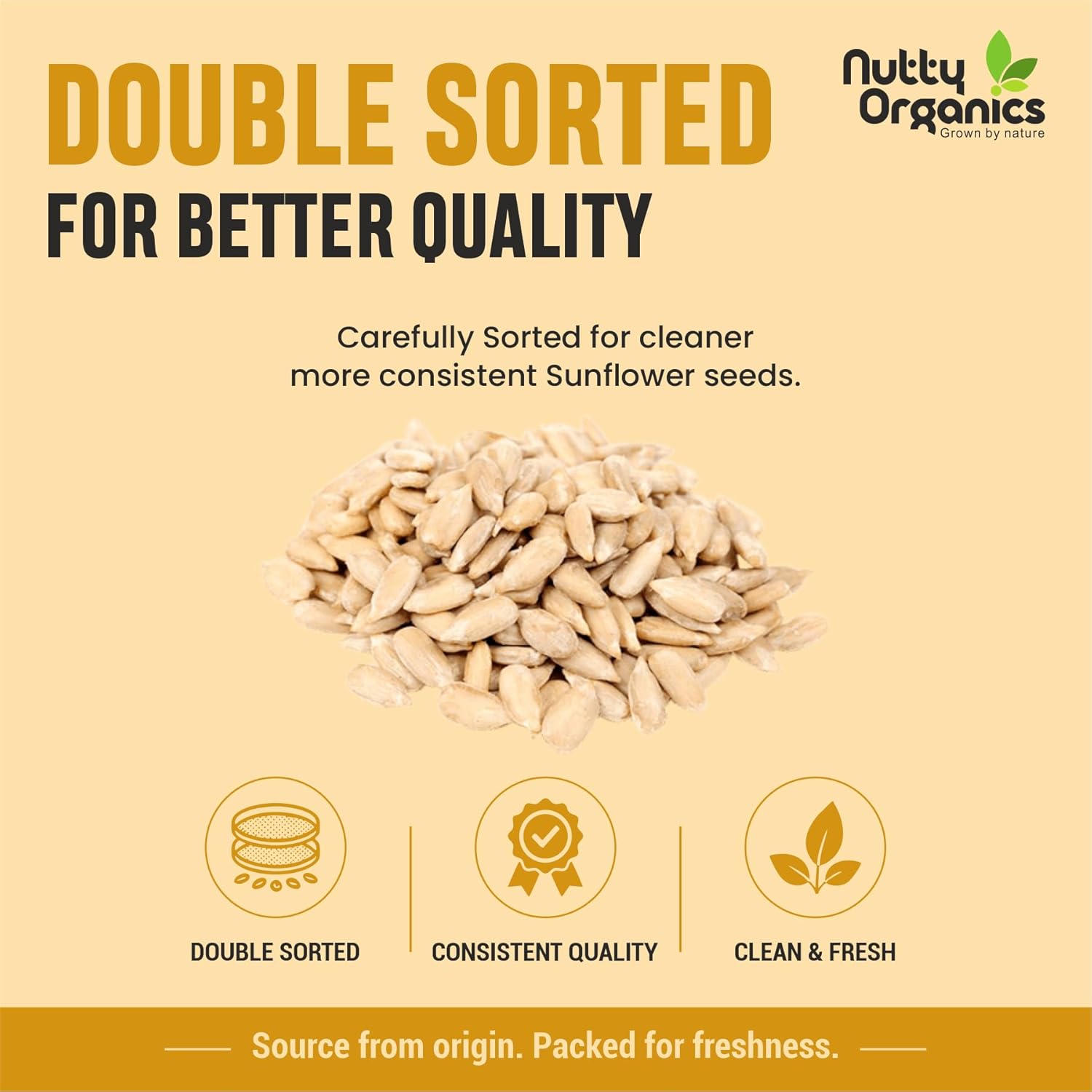 NUTTY ORGANICS Natural Sunflower Seeds 200GM | Raw Sunflower Seeds for Eating- Diet Food | Healthy Snack | Raw Seeds | Weight Management