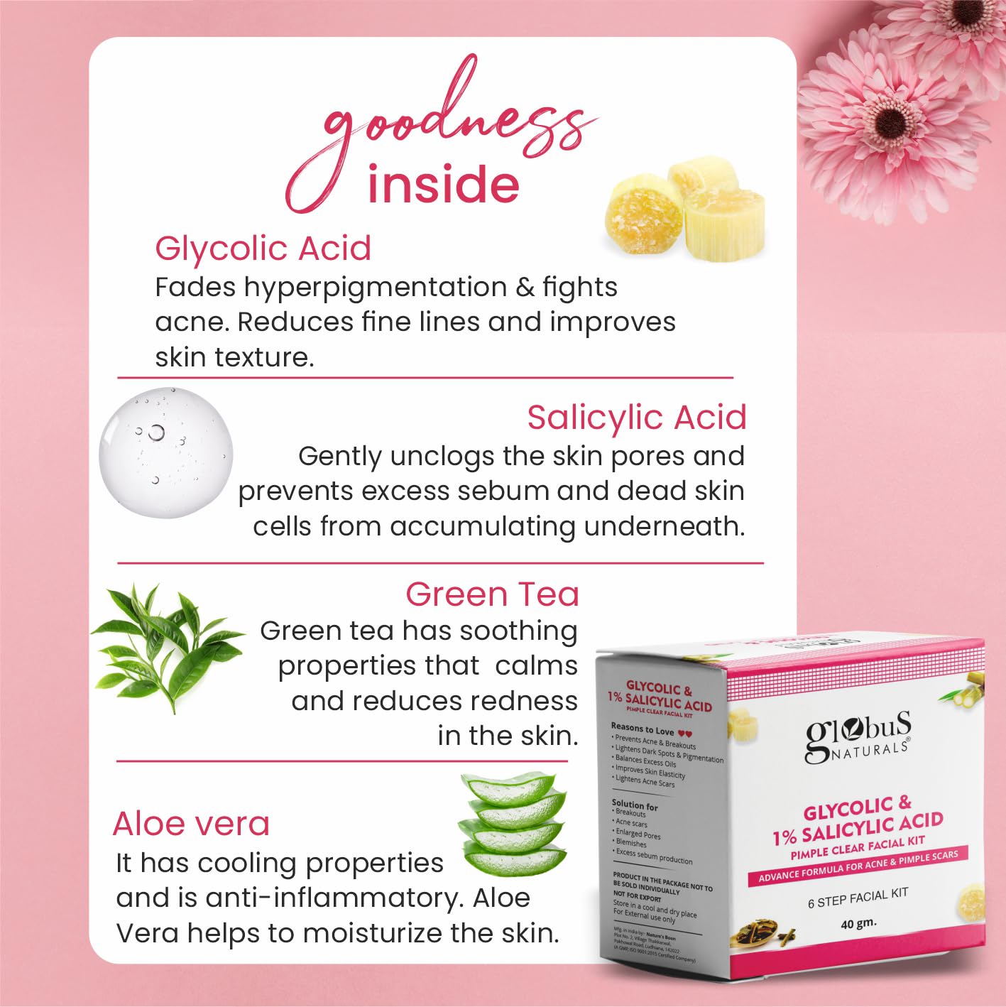 Globus Naturals Anti Acne Glycolic & Salicylic Acid 6 Step Facial Kit