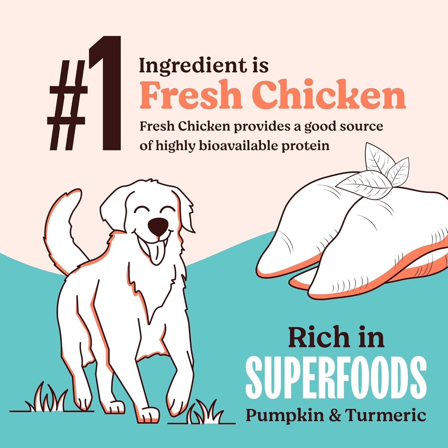 Kennel Kitchen Dry Dog Food Adult 100g | Fresh Chicken with Superfoods – Pumpkin & Turmeric | Probiotics for Digestive Support | No Artificial Colors or Flavours | Complete & Balanced for All Breeds