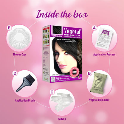 Vegetal Bio Hair Colour Soft Black - 50 gms (Pack of 2)