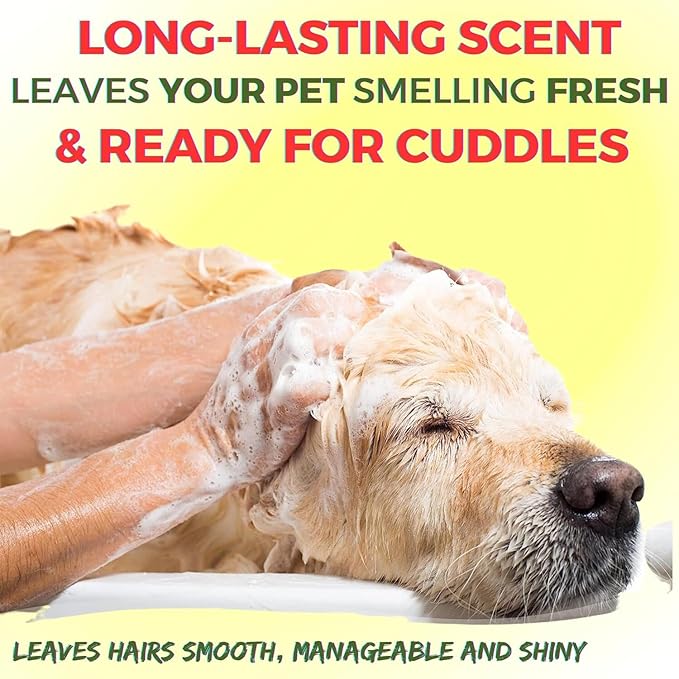 Pet Needs Oh My Dog Ultimate Oatmeal and Itch Relief Dog Shampoo With Mini Soft Silicone Dog Shampoo Dispenser Brush | 500 Ml