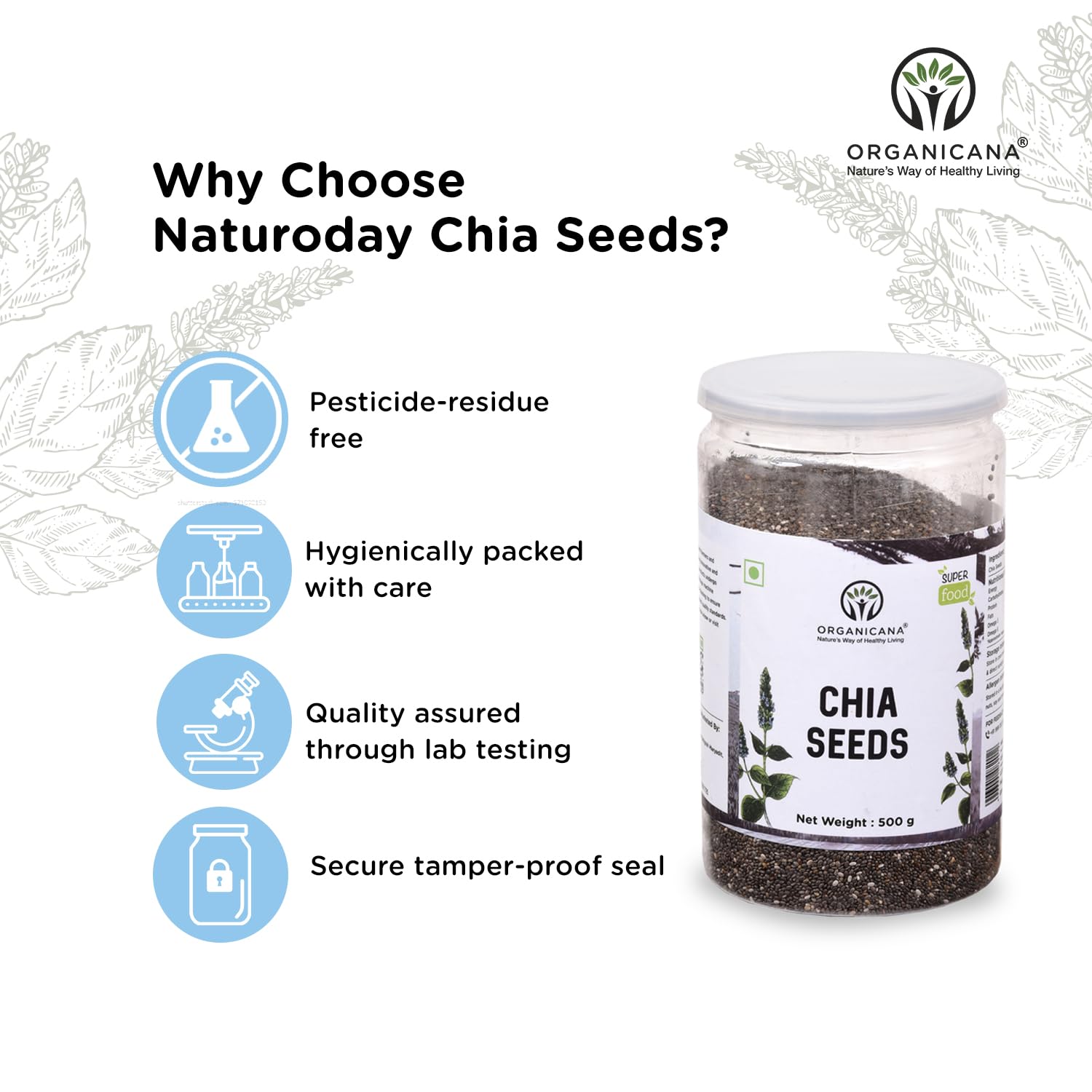 Organicana Chia Seeds - 500g (Pack of 1) 100% Natural & Unpolished Superfood | Rich in Omega-3, Fiber & Protein | Supports Weight Loss, Digestion & Energy