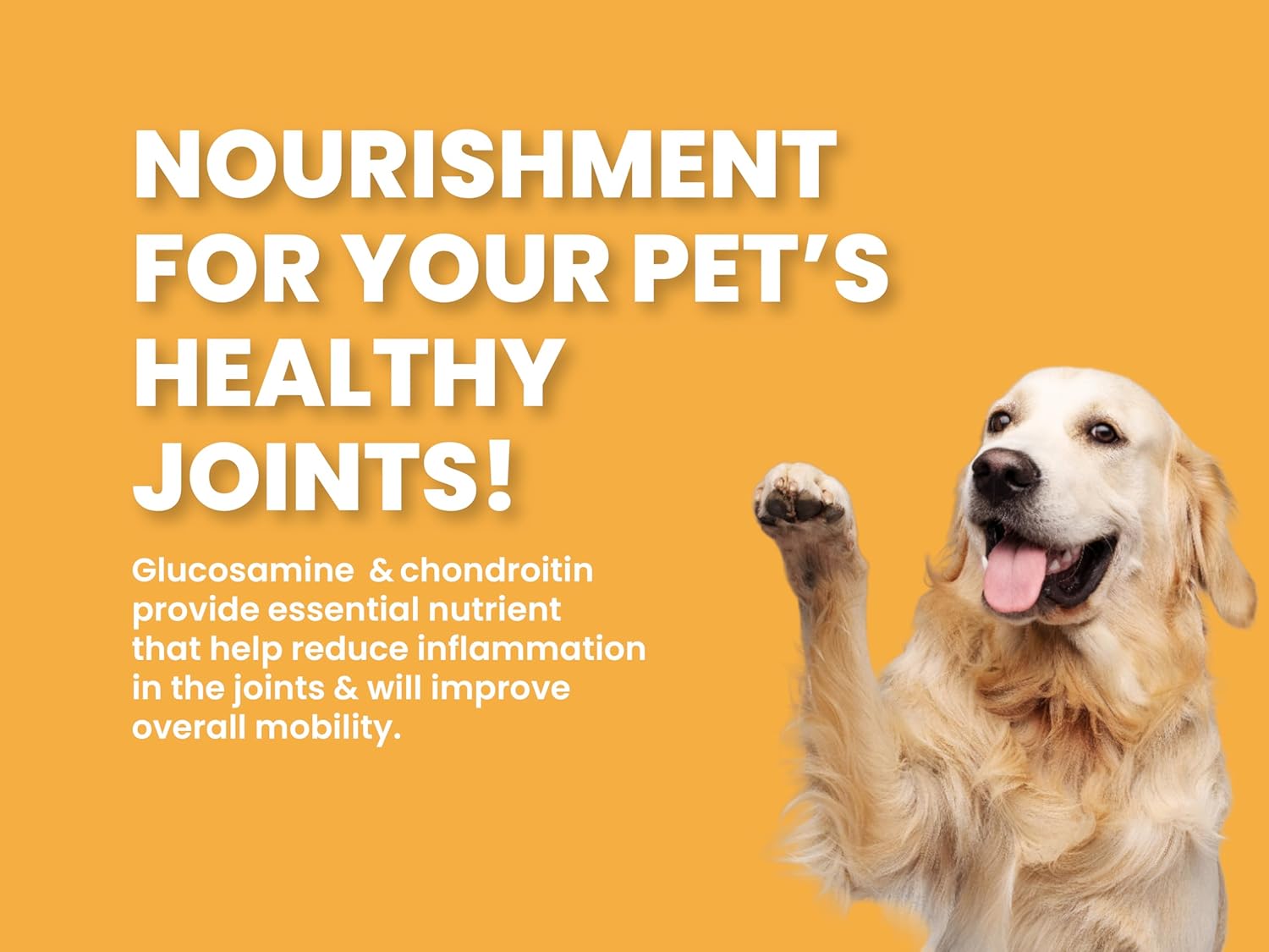 BARK OUT LOUD Dry Dog Food Adult | Fresh Salmon & Turkey, Low Grain, Rich Novel Protein & Prebiotics, Super Herbs for Healthy Skin, Fish Dry Kibbles for Medium/Large Dog, 1.8 kg