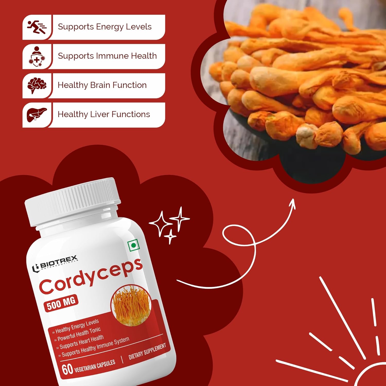 Biotrex Nutraceuticals Cordyceps 500mg | Endurance & Energy Booster | Supports Immune Function | Healthy Brain Function | Overall Wellbeing | 60 Veg Capsules