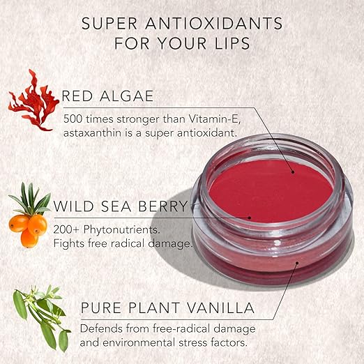 Daughter Earth Vegan Lip and Cheek Tint With Vitamin E | Amor True Red Matte Natural Blush for Women - 4.5 Gms