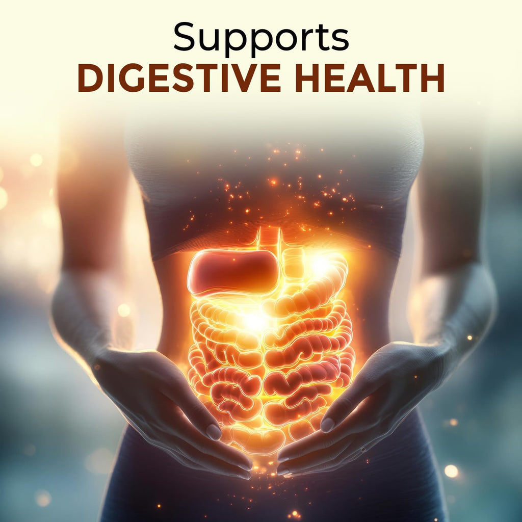 Punarnavadi Guggulu - Natural Diuretic | Promotes Healthy Liver & Kidney Functions | Ayurvedic Supplement For Swelling 60 Tab ((Pack-1))