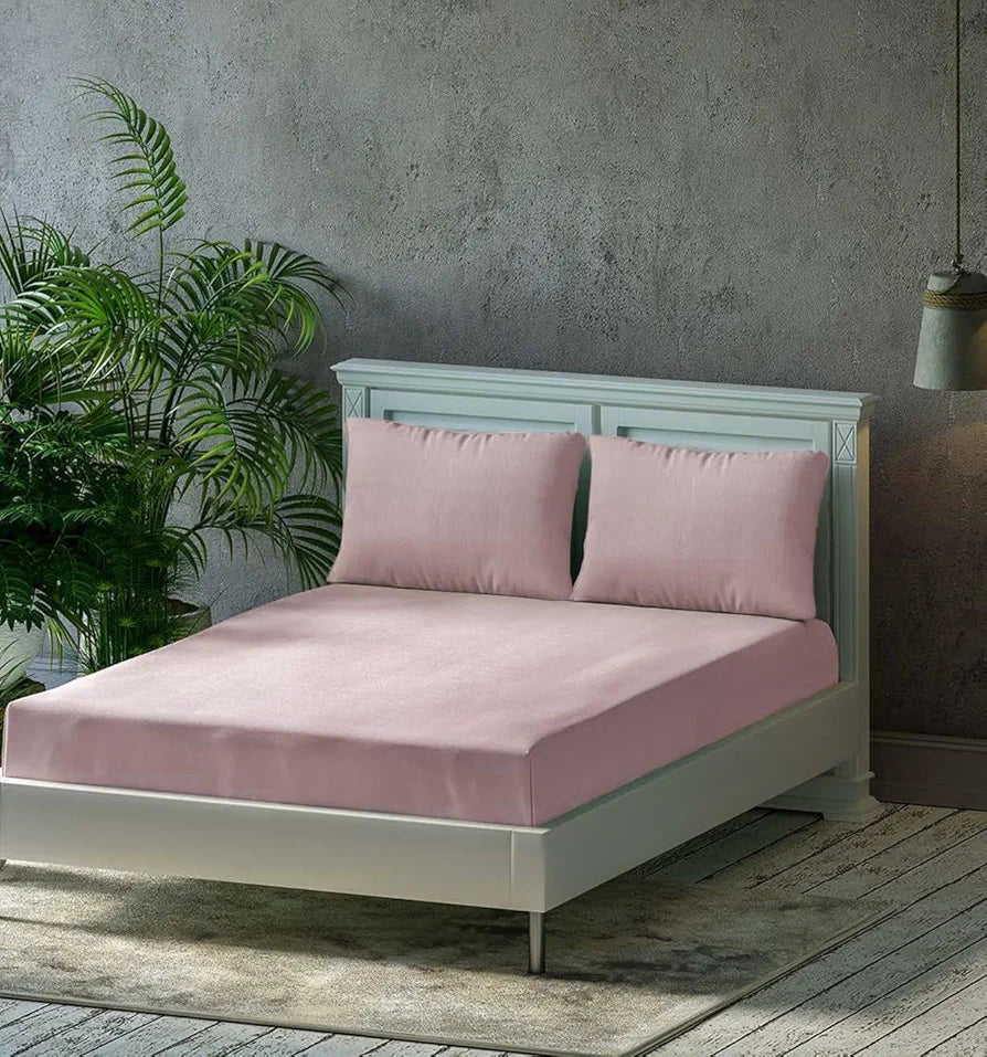Trance Home Linen 300TC Pure 100% Cotton Queen Fitted Bedsheet with 2 Pillow Covers Colour Cameo Rose