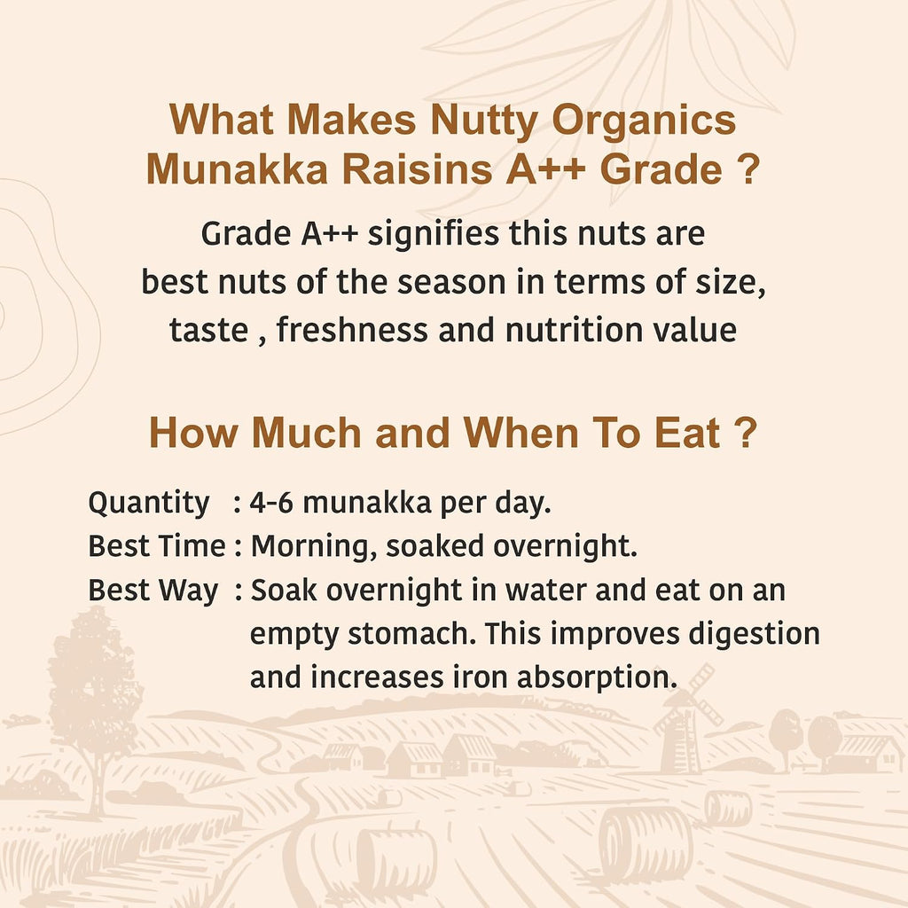 Nutty Organics Munaka Raisins 250 Gm | Nutritious| Rich in Iron | Tasty & Healthy Nuts Dry Fruits | Rich in Protein