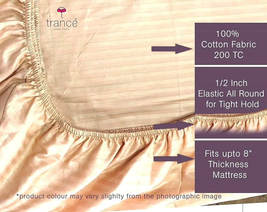 Trance Home Linen 100% Cotton 78x60 inch Queen Fitted 200TC Satin Stripe Elastic Fitted Bedsheet Daily Use Double Bed with 2 Pillow Covers Colour Beige