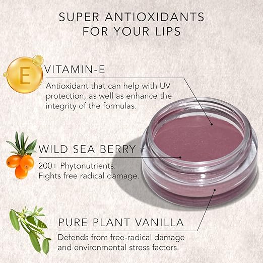 Daughter Earth Vegan Lip and Cheek Tint With Vitamin E | Cosmic Nude Matte Natural Blush for Women - 4.5 Gms