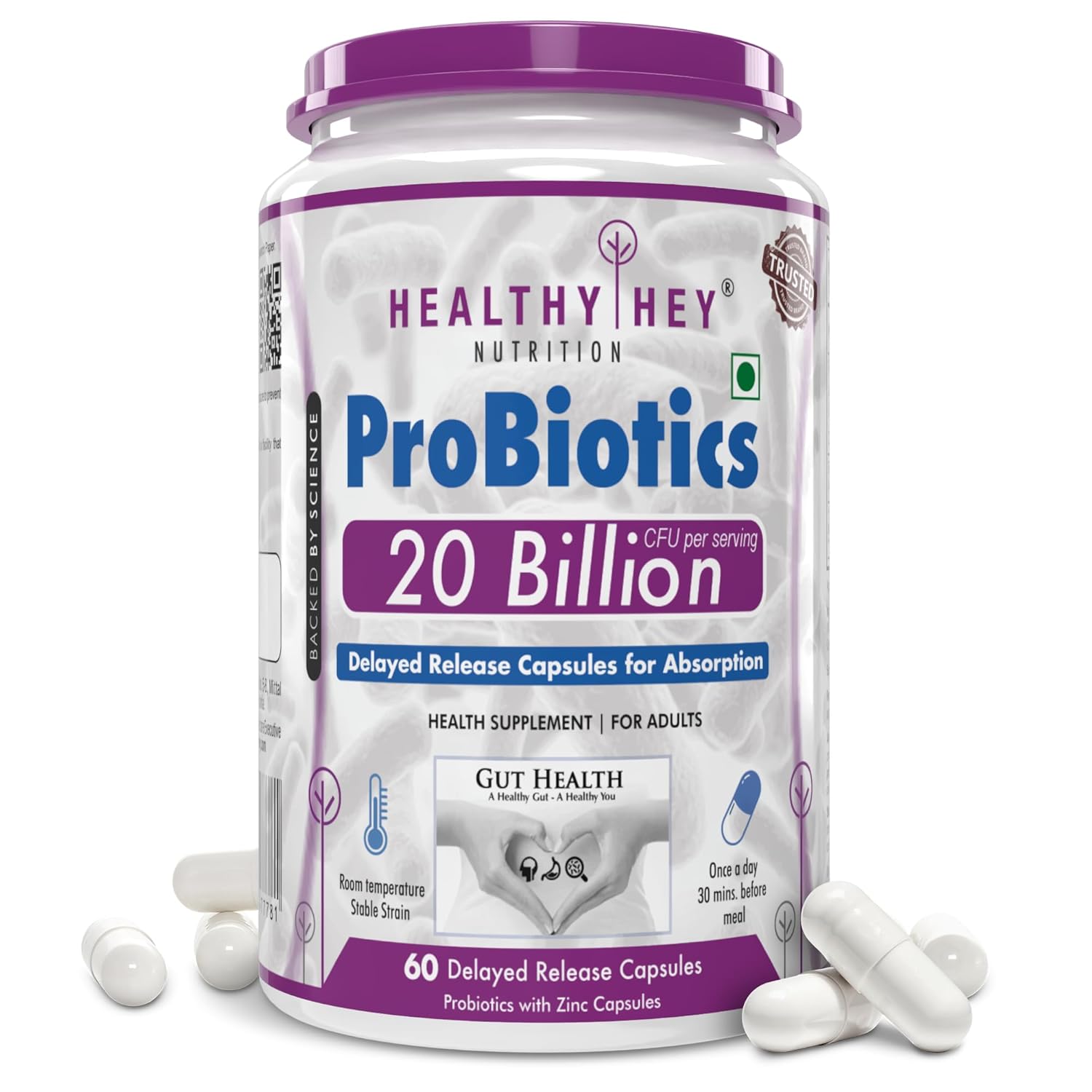 HealthyHey Nutrition Probiotic 20 Billion Cfu Supplement with Delayed - Release Capsules for Temperature Stable, Digestion, and Immune Health - (60 Capsules)