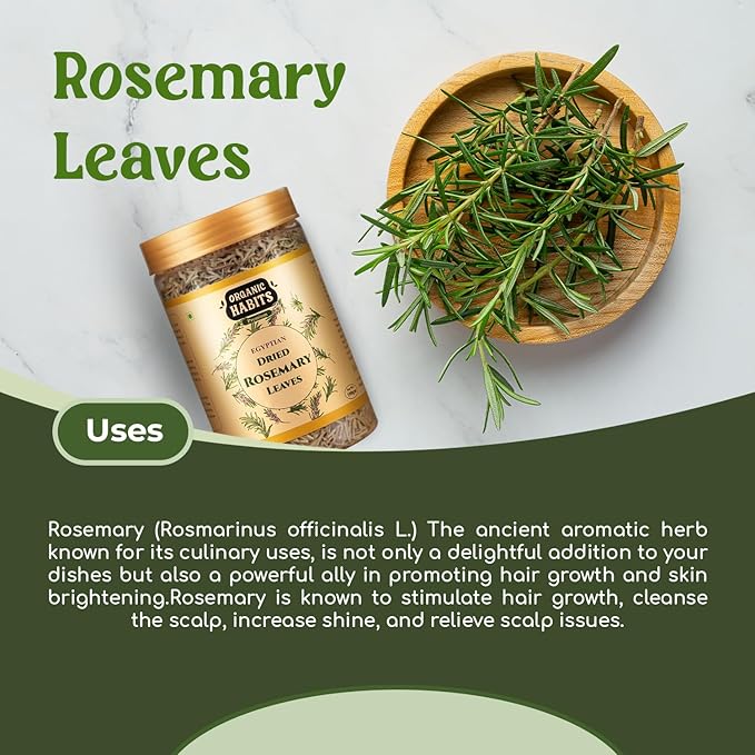 Organic Habits Rosemary Leaves | Egyptian Dried | for Seasoning, Tea & Hair - 100 Gms