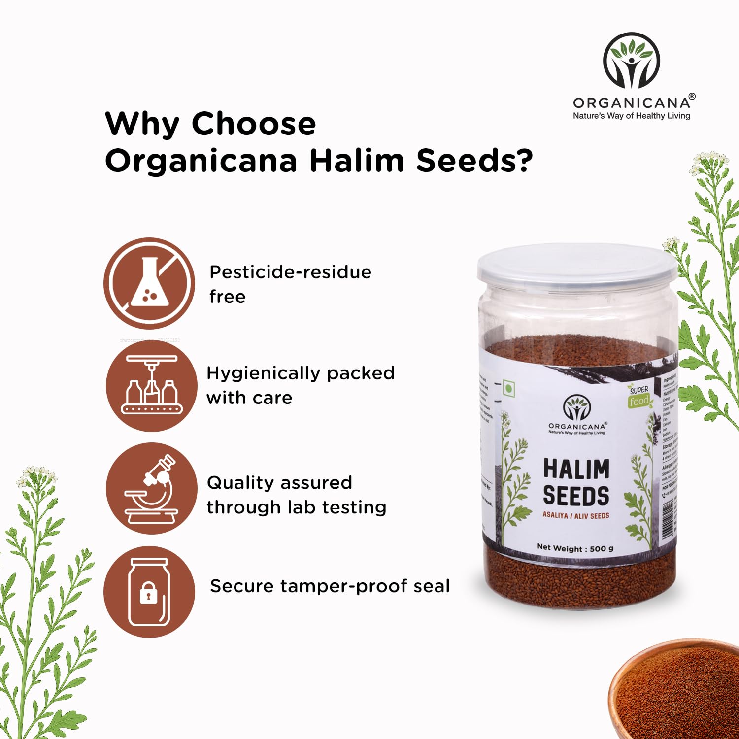 Organicana Halim Seeds 500g (Pack of 1)- Garden Cress | Aliv Seed | Asaliya | High in Fibre and Omega 3 | Garden Cress | Asalia | Haleem seed | Immunity Booster Superfood