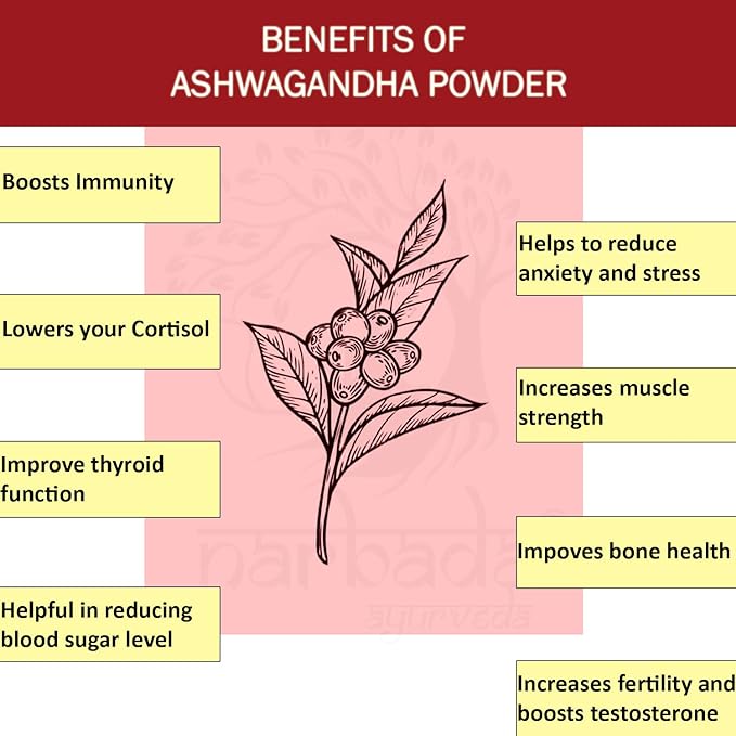 Narbada Ayurveda Ashwagandha Powder - 100 gms (Pack of 3)
