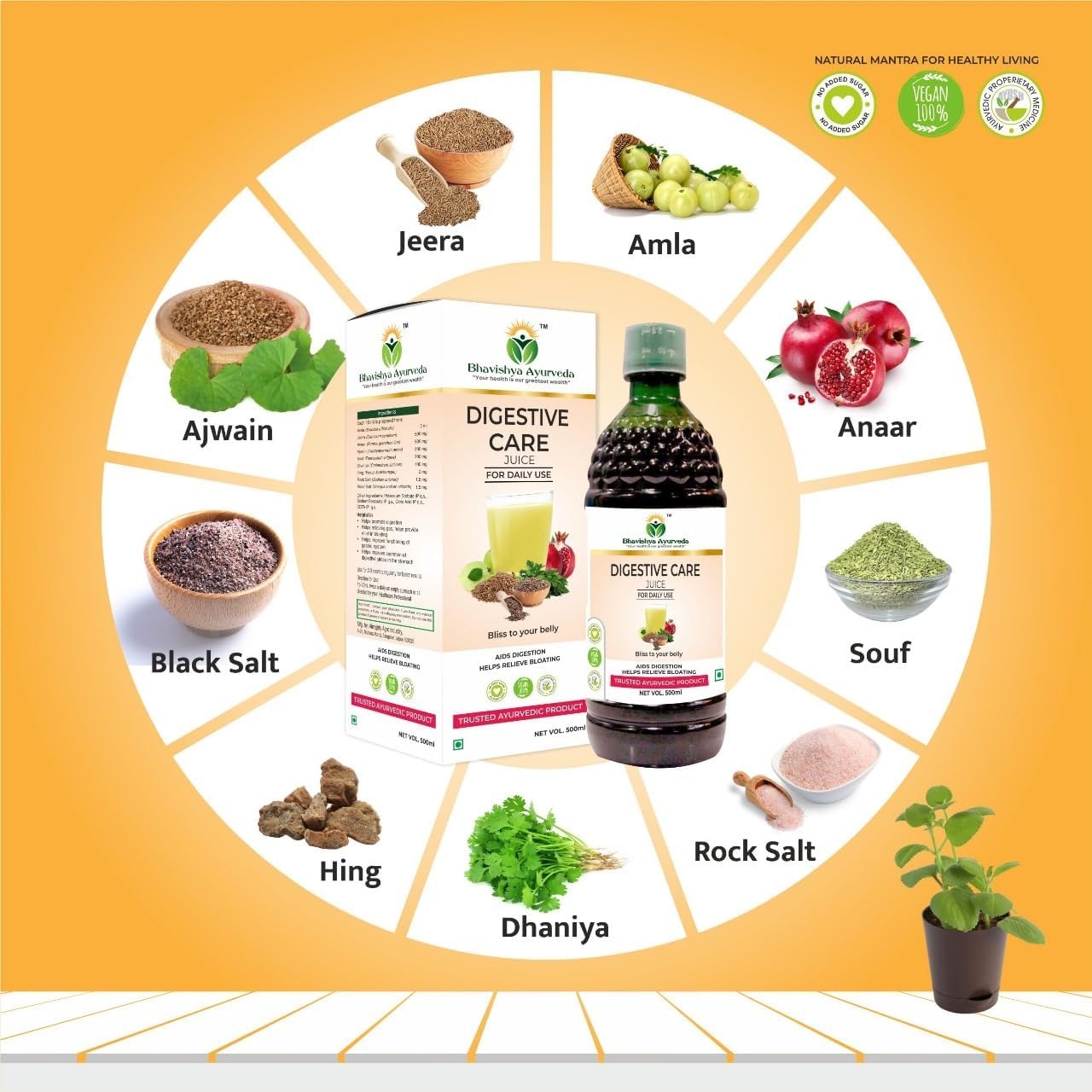 Bhavishya Ayurveda Digestive Care Juice - 500 ml