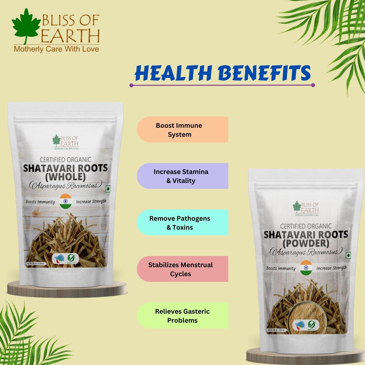 Bliss of Earth Shatavari Root Powder Organic Asparagus Racemosus Natural & Non GMO Good for Immunity & Digestion 100gm
