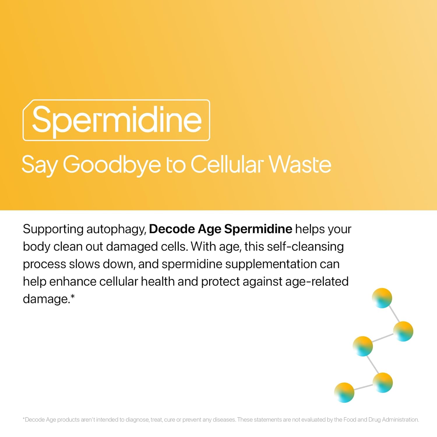 Decode Age Spermidine Supplement â€“ 99% Pure Spermidine Trihydrochloride for Autophagy, Longevity, Cellular Health, Energy & Skin Support â€“ Third-Party Tested, 2 Month Supply
