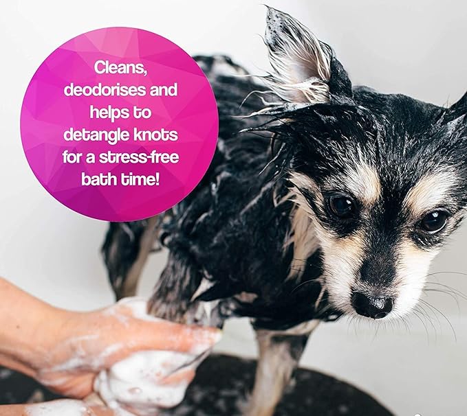 Pet Needs Oh My Dog Odor Control Ultimate Dog Shampoo | 500 Ml