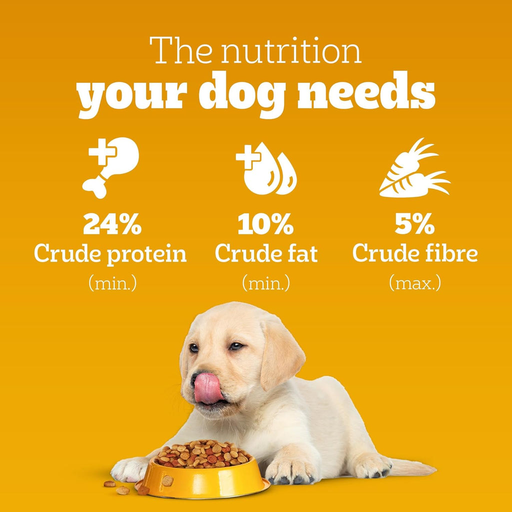 Pedigree Puppy Dry Dog Food, Chicken & Milk, 1 kg, Contains 37 Essential Nutrients, 100% Complete & Balanced Food for Puppies
