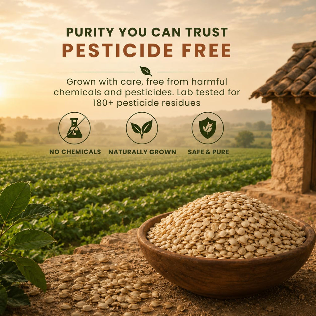 Earthen Story Watermelon Seeds, 500g | Premium Edible Seeds | Pesticide Free & Lab Tested for Pesticide Residues | Rich in Protein & Fiber | Healthy Snack & Superfood