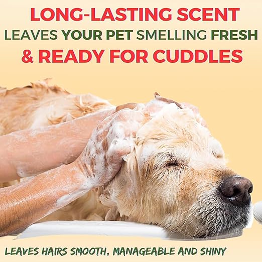 Pet Needs Bio Clean Long Coat Dog Shampoo | Cruelty Free | Moisturising and Gentle on Skin | 200 Ml | Pack of 2
