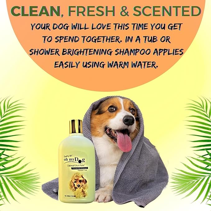 Pet Needs Oh My Dog Ultimate Oatmeal and Itch Relief Dog Shampoo With Mini Soft Silicone Dog Shampoo Dispenser Brush | 1000 Ml