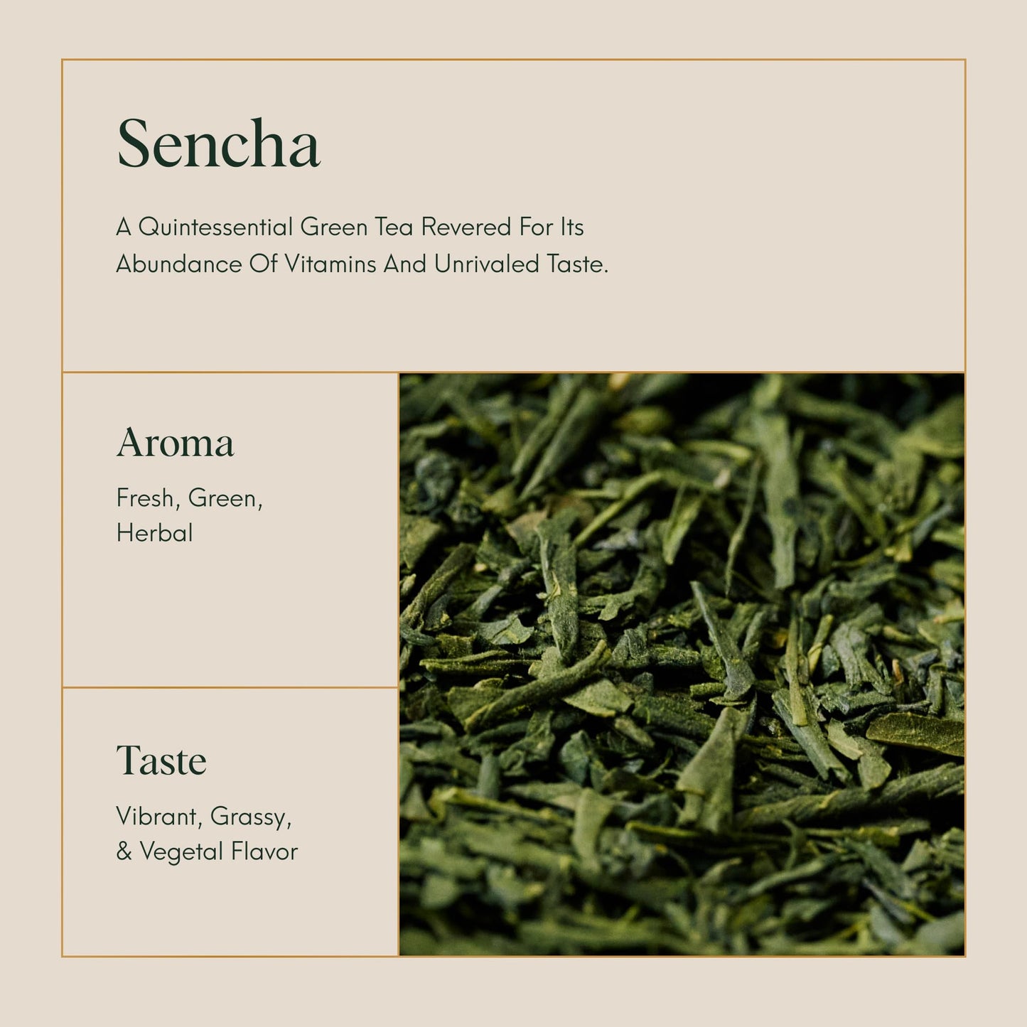 ILEM JAPAN Sencha Green Tea Bags