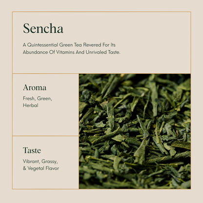 ILEM JAPAN Sencha Green Tea Bags