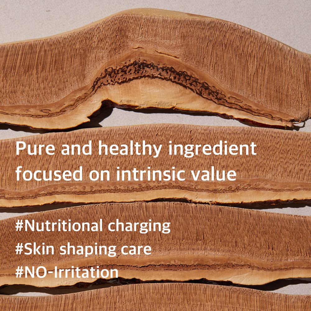 Mixsoon Reishi Mushroom Essence â€“ Barrier Strengthening and Anti-Aging Essence 100ml